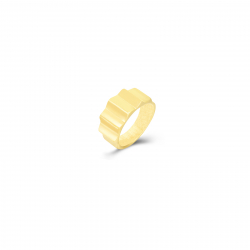 Steel Rings Steel Ring - 9mm - Gold and Silver Color