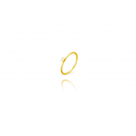plata_1