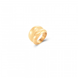 Steel Rings Double Steel Ring  - Gold Plated