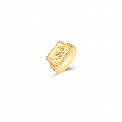 Anillo Acero Liso Anillo Acero Egipcia 15*11,50 - Color oro