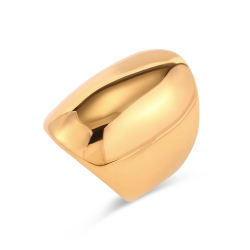 Steel Rings Steel Ring 28 mm - Gold and Steel Color