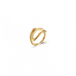 Steel Rings Steel Ring - Gold Color and Steel Color