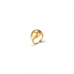 Steel Rings Steel Ring 25 mm - Gold and Steel Color
