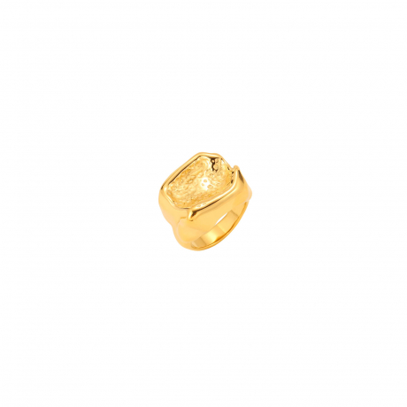 plata_1