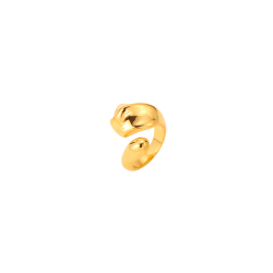 Steel Rings Steel Ring - Rustic 22 mm - Gold and Steel