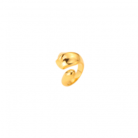 plata_1