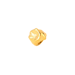 Steel Rings Steel Ring - Hammered 23 mm - Gold and Steel