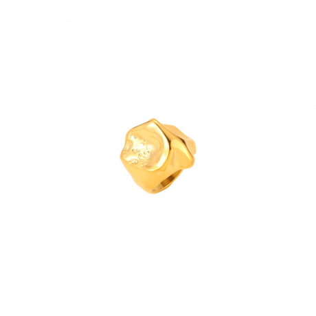 plata_1