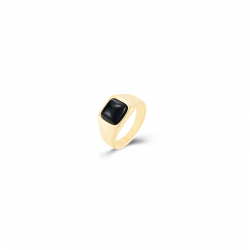 Steel Stones Rings Black Onyx Mineral - Pinky Steel Ring - Gold Color