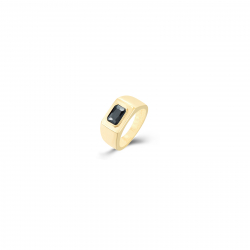 Ringe Edelstahl Minerale Pinky-Ring Edelstahl Mineral Schwarzer Onyx - Goldfarben