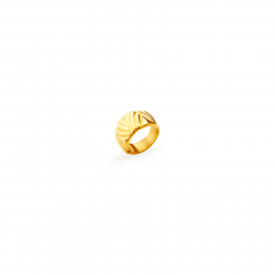 Steel Rings Ring - 22 mm - Gold and Color