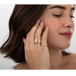 Steel Rings Ring - 22 mm - Gold and Color