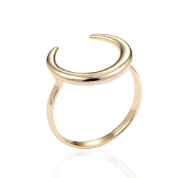 Ringe Glattes Silber Ring Silber - Mond