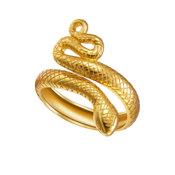 Anillo Plata Lisa Anillo Plata - Serpiente