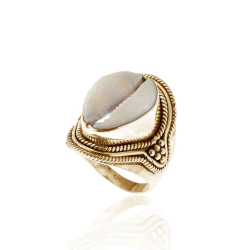 Anillo Plata Lisa Anillo Concha - 14*20mm