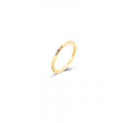 Ringe Silber Zirkonia Ring Zirkonia - Vergoldet