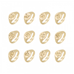 Silver Zircon Rings Zodiac Zirconia Ring - Gold Plated