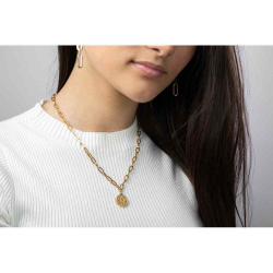 Colliers Acier Lisse Collier Acier - Monnaie Suisse - 45 cm