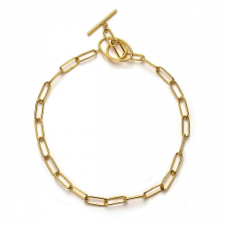 Steel Necklaces Steel Link Necklace - 40 cm - Gold Plated