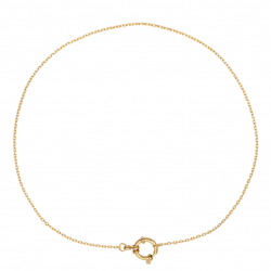 Steel Necklaces Steel Necklace - Reasa - 40 cm - Gold Plated