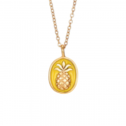 Colliers Acier Lisse Collier Acier - Ananas - Émail - 45+5 cm