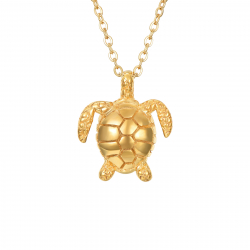 Colliers Acier Lisse Collier Acier - Tortue de Mer 20*17mm - 40+5cm - Couleur Or