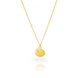 Halsketten Glattes Edelstahl Stahlkette – Muschel – 20 cm – 40 + 5 cm – Gold und Silber