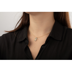 Collar Acero Liso Collar Acero Liso - Eslabón Diseño - 40 + 5 cm - Color Oro y Color Acero