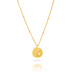 Collar Acero Mineral Collar Acero Mineral - Nacar - Concha - 40+5 cm - Color Oro y Color Plata
