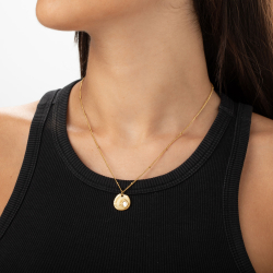 Collar Acero Mineral Collar Acero Mineral - Nacar - Concha - 40+5 cm - Color Oro y Color Plata