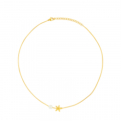 Collar Acero Mineral Collar Acero Liso - Mineral - Estrella - 40+5 cm - Color Oro y Color Plata