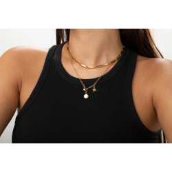 Collar Acero Circonita Collar Acero - Circonita - Estrella y Concha - 45+5cm - Color Oro y Color Acero