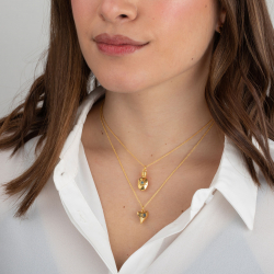 Collar Bronce Mineral Collar de Bronce - Frasco 20*9mm - 1 Micra Bañado en Oro