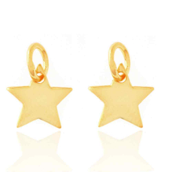 Silver Charms Charm - Star 8mm