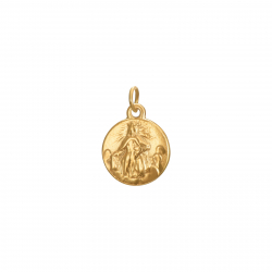 Charm Edelstahl Stahl-Charme - Jungfrau der Barmherzigkeit - 9 mm - Farbe Gold