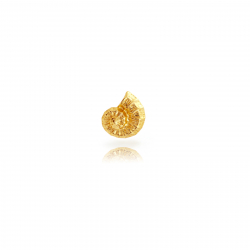 Charm Plata Lisa Charm Plata - Caracola de Mar - 13mm - 1ud - Bañado en Oro y Plata Rodiada