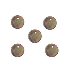 Charm Plata Mineral Charm Mineral - Círculo - 10,5mm,8.5mm - 5u - Madre Perla