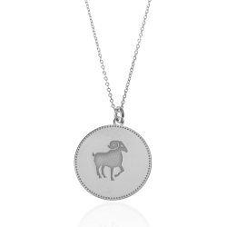 Colliers Argent Lisse Collier - Zodiaque Symbole