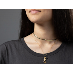 Colliers Bronze Lisse Collier - Hippocampe