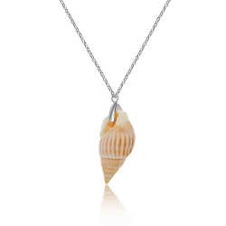 Colliers Argent Lisse Collier - Coquillage