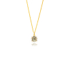 https://www.platayminerales.com/image/cache/catalog/products/COM0161DOLA-100x100.jpg