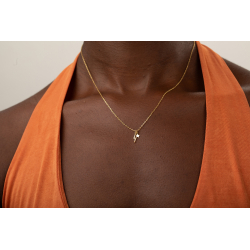 Colliers Argent Zircone Collier Zircon - Eclair et Etoile - 40 + 5 CM - Plaqué Or
