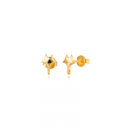 Findings - Earrings Accessories Earrings Accessories - Star 5mm - Gold Plated Silver and Rhodium Silver
