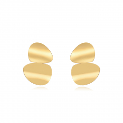Steel Earrings Steel Earrings - 50 mm - Circle Plate - Gold Color and Steel Color