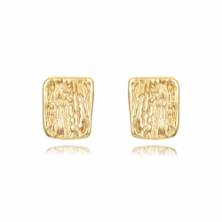 Steel Earrings Steel Earrings - Square 12,5*15mm - Color Gold and Steel