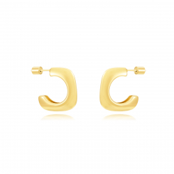 Steel Earrings Hollow Steel Earrings - Square Hoop 20 mm - Gold Color and Steel