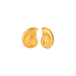 Ohrringe Glattes Edelstahl Stahlohrringe - Schneckenfossil - 30 mm - Goldfarbe und Silberfarbe