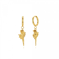 Ohrringe Glattes Edelstahl Edelstahlohrringe - Hoop 14 MM - Muschel - 22 MM - Goldfarbe und Edelstahl