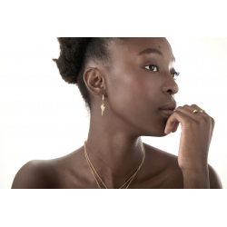 Steel Earrings Plain Steel Earrings - Hoop 14 MM - Shell - 22 MM - Gold Color and Steel