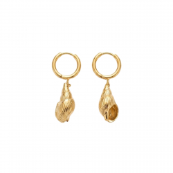 Pendiente Acero Liso Pendiente Acero Liso - Caracola - Diseño - 37 mm - Color Oro y Color Acero